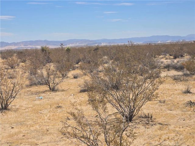 1577 Mcgarry, Joshua Tree, CA 92252