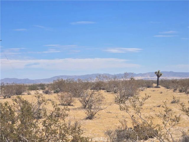 1577 Mcgarry, Joshua Tree, CA 92252