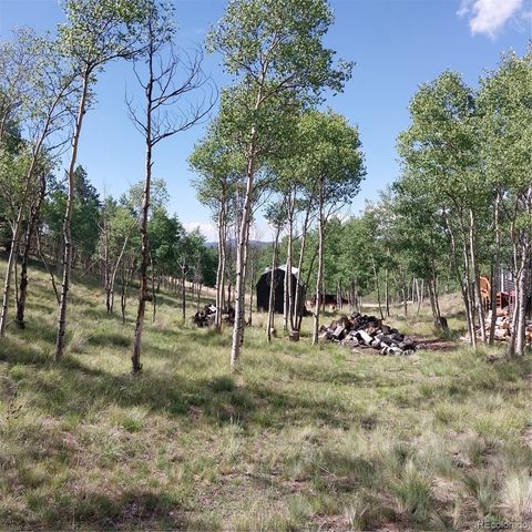 1391 Ute Trail, Como, CO 80432