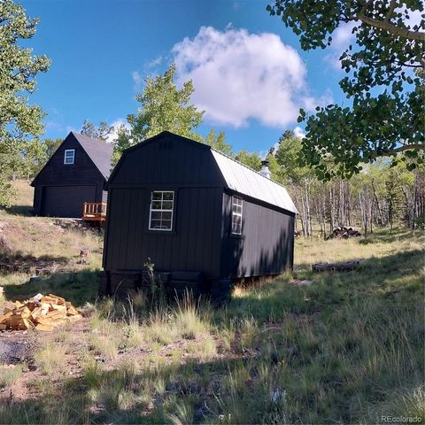 1391 Ute Trail, Como, CO 80432
