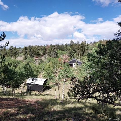 1391 Ute Trail, Como, CO 80432