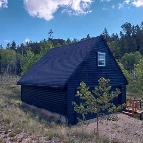 1391 Ute Trail, Como, CO 80432