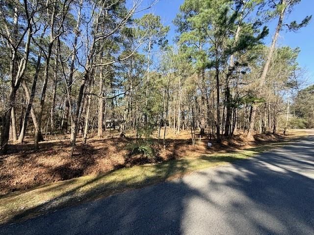 220 Altwood Drive, Coldspring, TX 77331