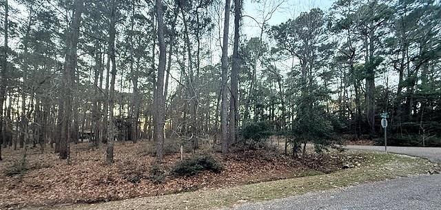 220 Altwood Drive, Coldspring, TX 77331
