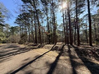 220 Altwood Drive, Coldspring, TX 77331