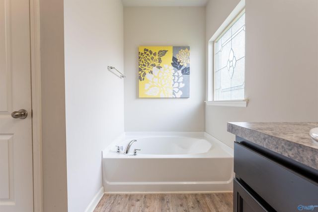 111 Clydesdale Lane, Harvest, AL 35749