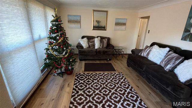 13 Beth Ann Drive, Belleville, IL 62221