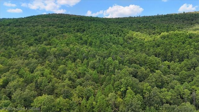 16182 Mountain Way, Heavener, OK 74937