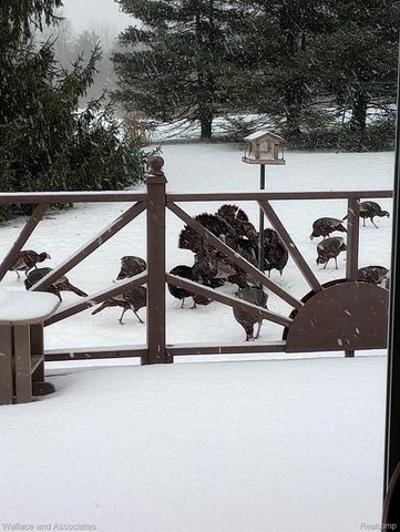 7907 Brockway Road, Melvin Village, MI 48454