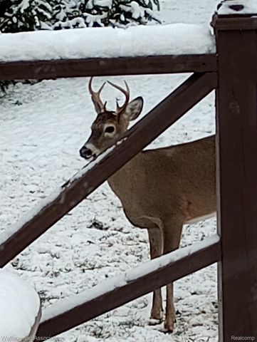 7907 Brockway Road, Melvin Village, MI 48454