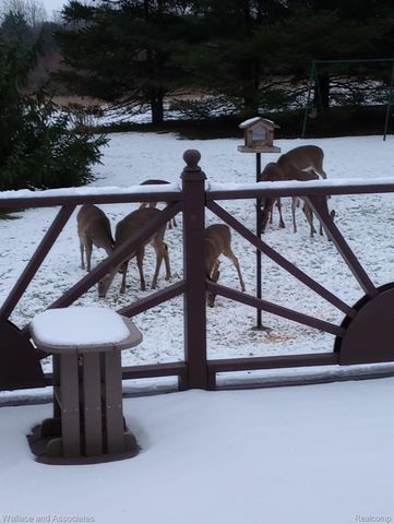 7907 Brockway Road, Melvin Village, MI 48454