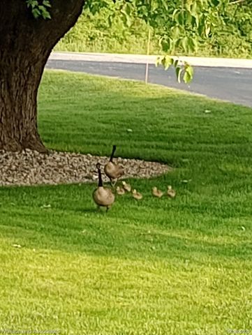 7907 Brockway Road, Melvin Village, MI 48454