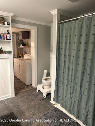 209 Mineral Street, Grand Ledge, MI 48837