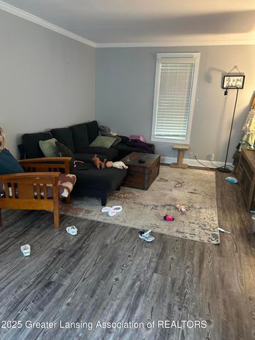 209 Mineral Street, Grand Ledge, MI 48837