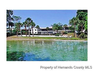 6482 River Run Boulevard, Weeki Wachee, FL 34607