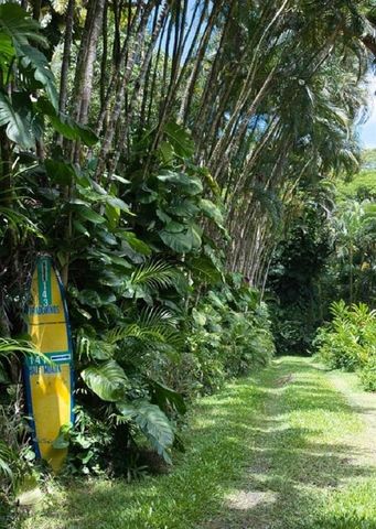 143 Alalele Pl, Hana, HI 96713