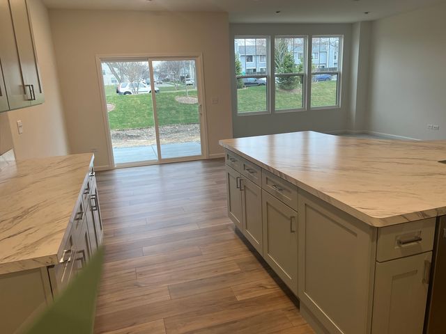 1977 Leiter Way 12003, Hoffman Estates, IL 60169