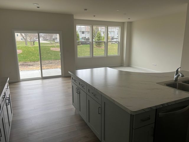 1977 Leiter Way 12003, Hoffman Estates, IL 60169