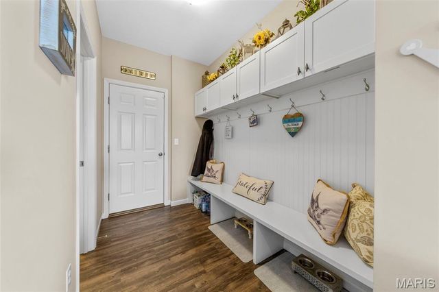 17 Meadow Vista Court, St Peters, MO 63376