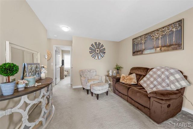 17 Meadow Vista Court, St Peters, MO 63376