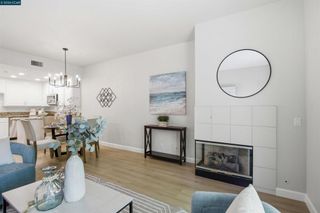 295 Tradewinds 202, San Jose, CA 95123