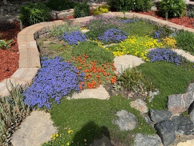 5903 Twin Wash Sq, Fort Collins, CO 80528