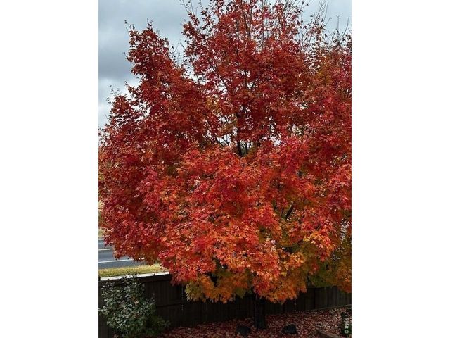 5903 Twin Wash Sq, Fort Collins, CO 80528