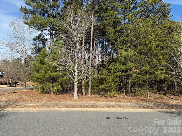 16213 Monnet Place Court, Charlotte, NC 28278