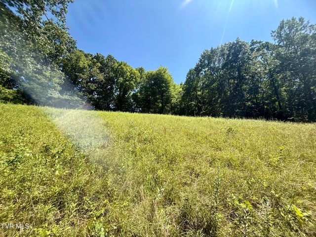379 Minton Hollow Road, Elizabethton, TN 37643
