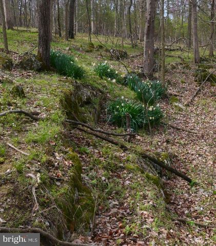 Lot 61-A SCRABBLE RD, Shepherdstown, WV 25443