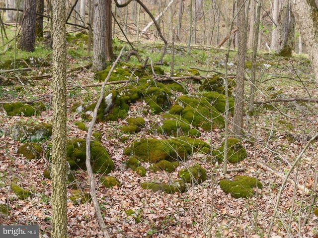 Lot 61-A SCRABBLE RD, Shepherdstown, WV 25443