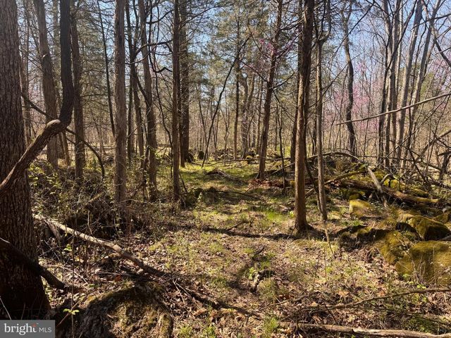 Lot 61-A SCRABBLE RD, Shepherdstown, WV 25443