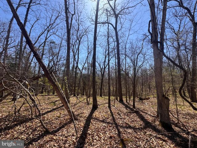 Lot 61-A SCRABBLE RD, Shepherdstown, WV 25443