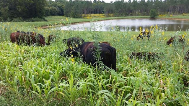 3175 Trotter Road, Asheboro, NC 27205