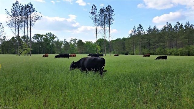3175 Trotter Road, Asheboro, NC 27205