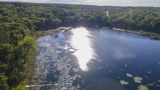 N6958 N LAKE DRIVE, Wild Rose, WI 54984