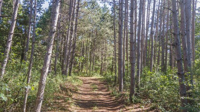 N6958 N LAKE DRIVE, Wild Rose, WI 54984