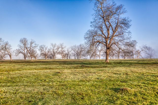 0000 Steck Bottom Road, Sealy, TX 77474