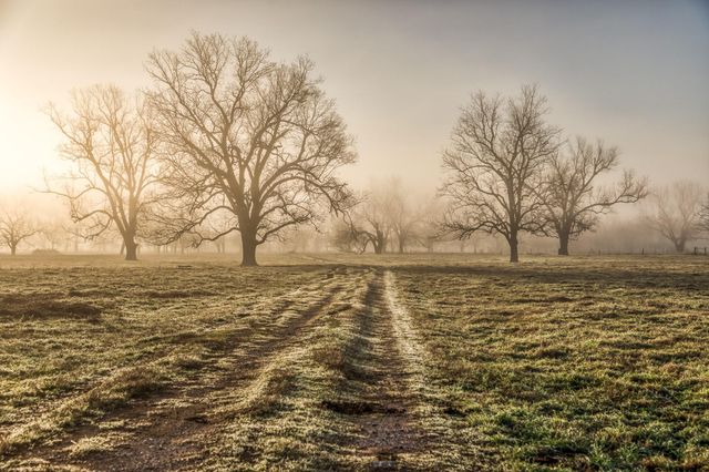0000 Steck Bottom Road, Sealy, TX 77474