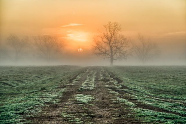0000 Steck Bottom Road, Sealy, TX 77474