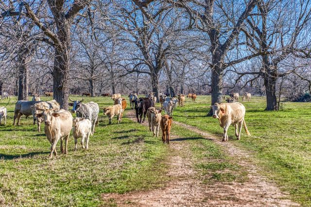 0000 Steck Bottom Road, Sealy, TX 77474