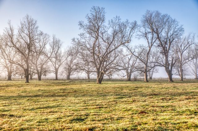 0000 Steck Bottom Road, Sealy, TX 77474