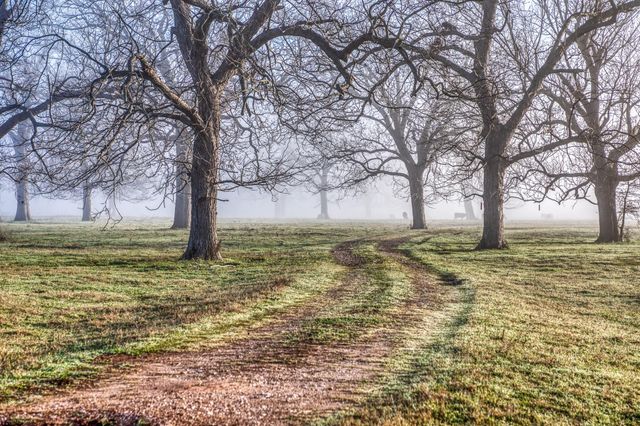 0000 Steck Bottom Road, Sealy, TX 77474