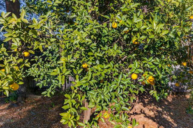 534 Nassau Drive, Niceville, FL 32578