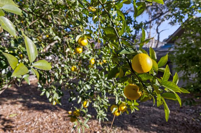 534 Nassau Drive, Niceville, FL 32578