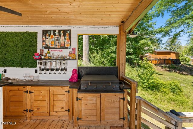 303 Clifftop Court, Mount Carmel, TN 37645