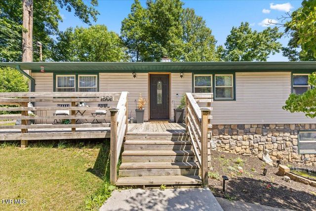 303 Clifftop Court, Mount Carmel, TN 37645
