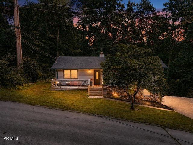 303 Clifftop Court, Mount Carmel, TN 37645