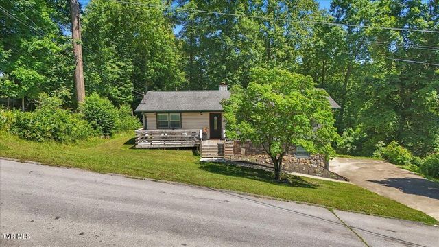 303 Clifftop Court, Mount Carmel, TN 37645