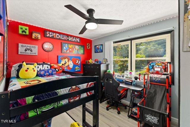 303 Clifftop Court, Mount Carmel, TN 37645